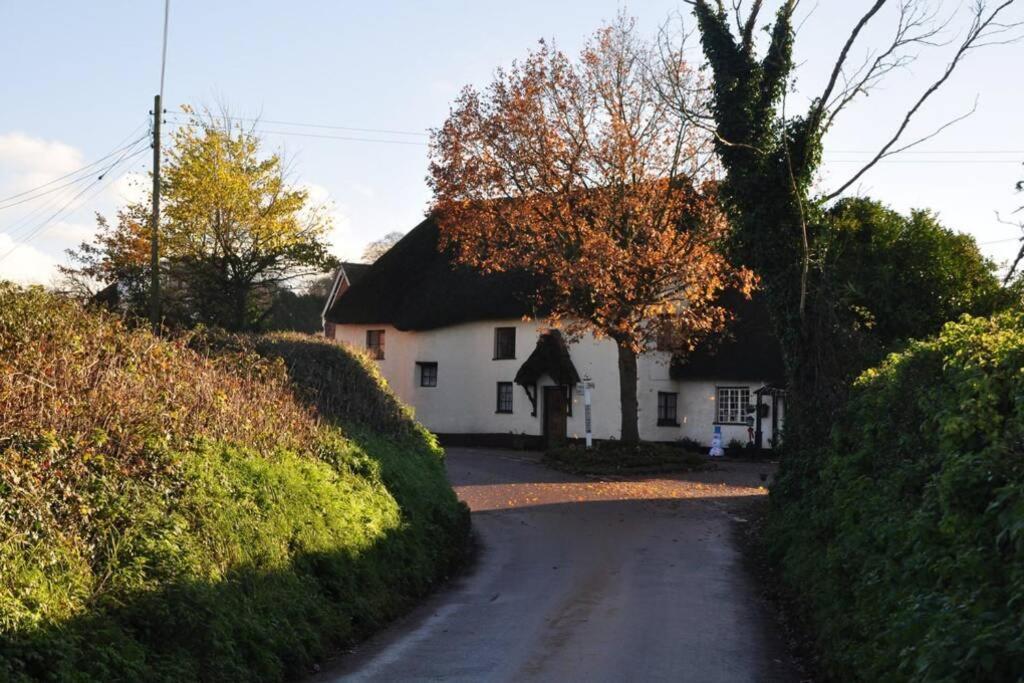 Church View, Poltimore Exeter Esterno foto